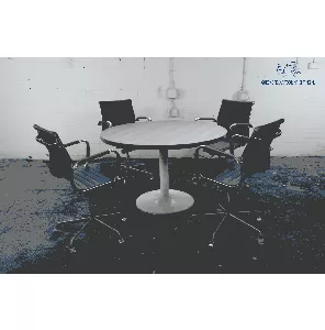 Lensvelt | Vergadertafel  | Jong gebruikt | Kastanje blad | Wit trompetvoet | VT281