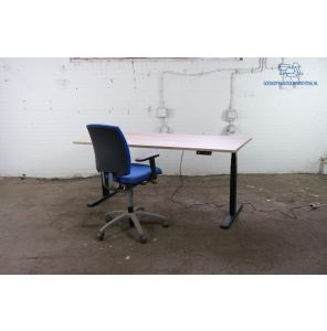 Bureau | Jong gebruikt | Elektrisch verstelbaar | Robson eiken blad | Zwart frame | 180x80 cm | BT449