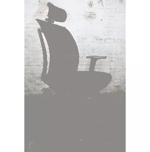 Arti Chair | Bureaustoel | Gebruikt | Zwart | Hoofdsteun 