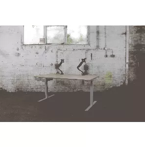 Ergonomieset | Zit bureau BT265 | Giroflex 353-8029 | ES100